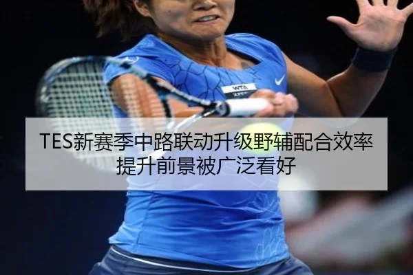 TES新赛季中路联动升级野辅配合效率提升前景被广泛看好